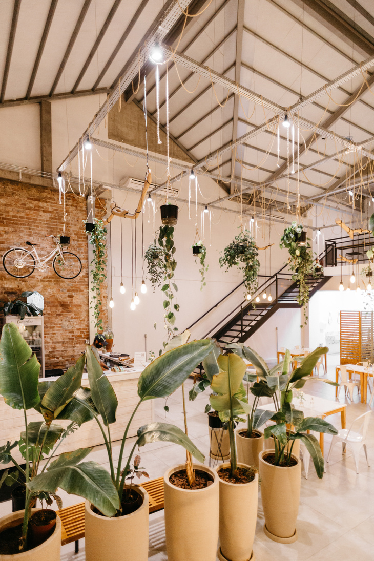 Potted green plants in modern cafe