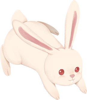 Rabbit Bunny Illustration